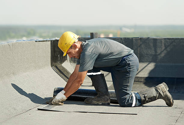 Best Crawl Space Insulation  in Northvale, NJ